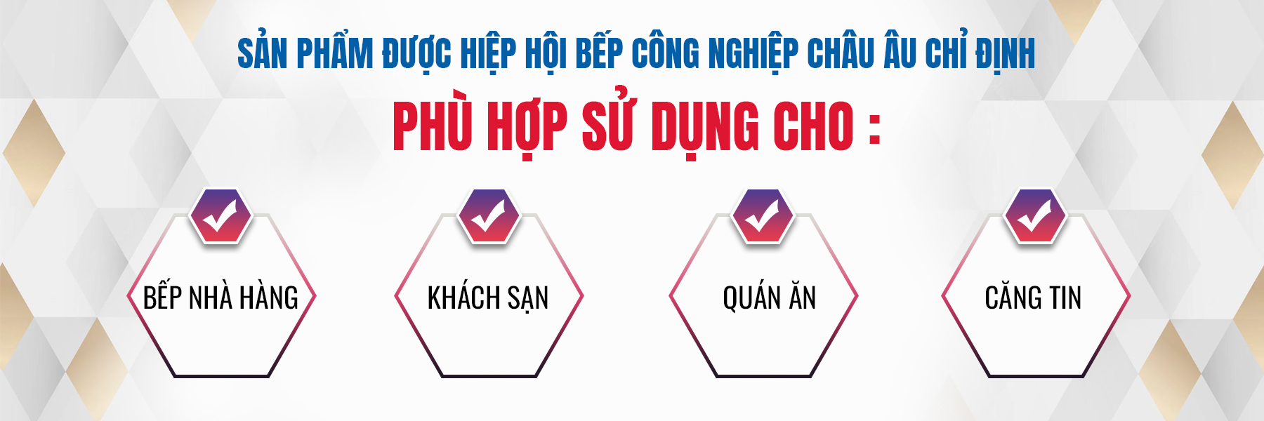 Máy rửa bát bằng sóng siêu âm Rama RB600